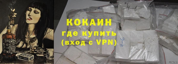 трава Карпинск