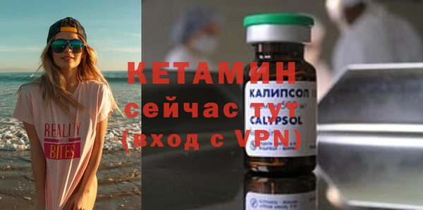 трава Карпинск