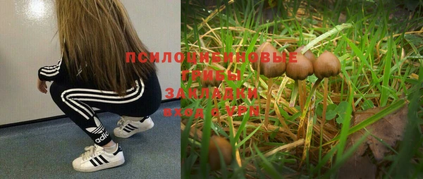COCAINE Касимов