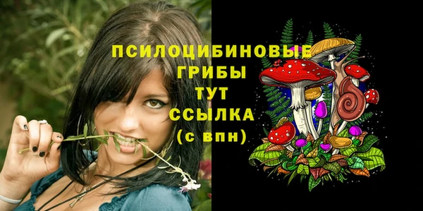 трава Карпинск