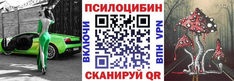 Галлюциногенные грибы MAGIC MUSHROOMS  сайты даркнета как зайти  Камешково  купить наркотики цена 